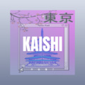 叶婷 - 梦里水乡