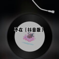 阿文 - 归寻