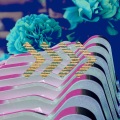 AMV Beats、BDM México、Ashley Stevens、Wax Nationals、Sour Files - Turtle By The Way