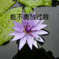 若书 - 难道是我上辈子欠了你