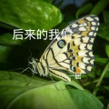 一居 - 忽如一面 (Remix)
