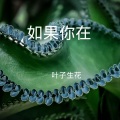 叶子生花 - 去年夏天