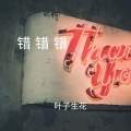 叶子生花 - 唱着情歌流着泪