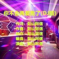 你不会再爱我了 (DJ版)(伴奏)