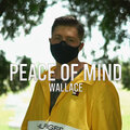 Wallace - Peace of Mind (Explicit)