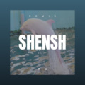 卞华奥、苏可可 - 悠殇叹 (Remix)