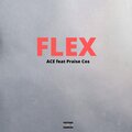 Praise Cos、Ace - Flex (Explicit)
