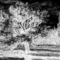Reduction 2 Remixes