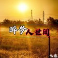 九痕 - 醉梦人世间