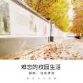 梦辞 - 难忘的校园生活
