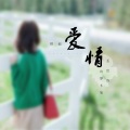 诗梦冬旭 - 错把爱情丢给你