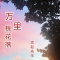 万里桃花落