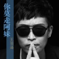 王羽泽 - 你莫走