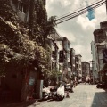 Dazzing T - 关于我小时候的事