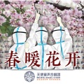 天使童声合唱团 - 春暖花开