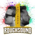 Roughsound - Antidote