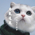 另类连麦