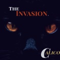 calico - 2000's