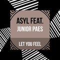Junior Paes、Asyl - Let You Feel