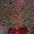 Rachel Smith、Florida Nature、Ancient Cricket、Atlas Waves、Super Artiste - Auburn Ocean