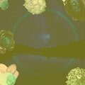 Plane Window、Oxygen Medicine、Redwood Feathers、Ashley Stevens、Chill Technology - Hexagon Drive