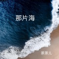 那片海 (DJ版)