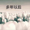 一居 - 该死的爱情 (DJ版)