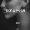 温尔 - 你还会回来吗