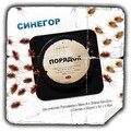 SIR J、Синегор、Мук、Шуруп - Не падай..