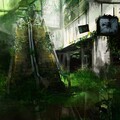 501 - Wasteland