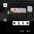曦兮 - 我愿你桃花不断