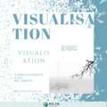 VisualisaTion (remix)