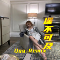 庆 - 电音之王