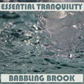 Essential Band - Brook's Nature