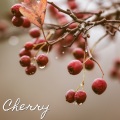 Mac Tonight、Alexa White、Diego Miranda - Cherry
