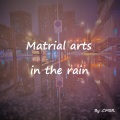 Martial arts in the rain