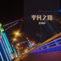 姜瑞利 - 可惜没如果