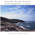Seaside Ocean Sounds with Seagulls: One Hour