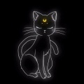 官方回答