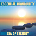 Essential Band - Calming Waters