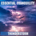 Essential Band - Distant Thunder & Rain