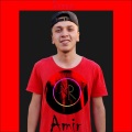 Amir - Dream