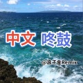浪子金 - 你说呢 (DJ咚鼓版)