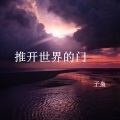 子枭 - 推开世界的门