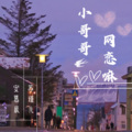 苏瑾儿、安慕辰 - 小哥哥网恋嘛
