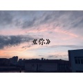 ZARING(林培煌） - sunflower feelings