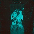Homie - Одинокий пёс