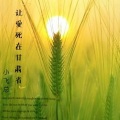 小飞总 - 让爱死在甘肃省