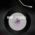 锦鲤