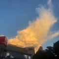 啫啫 - 到此为止